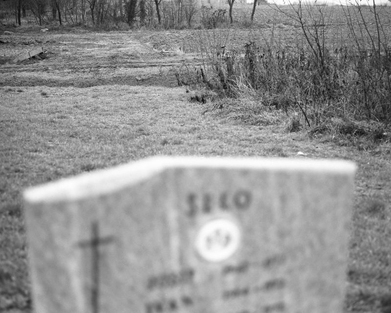 © Josip Artuković - Image from the Tea Soaked Madeleines photography project