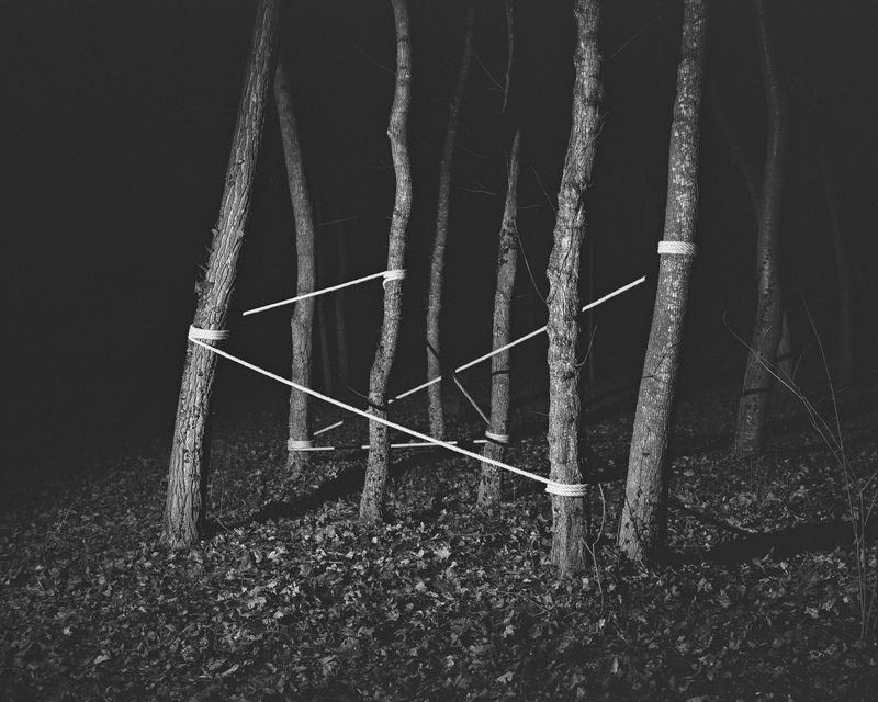 © Josip Artuković - Image from the Tea Soaked Madeleines photography project