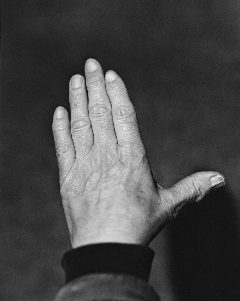 © Josip Artuković - Image from the Tea Soaked Madeleines photography project