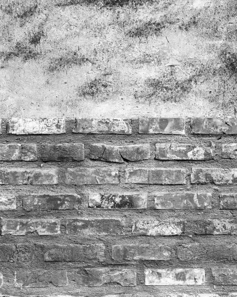 © Josip Artuković - Image from the Tea Soaked Madeleines photography project