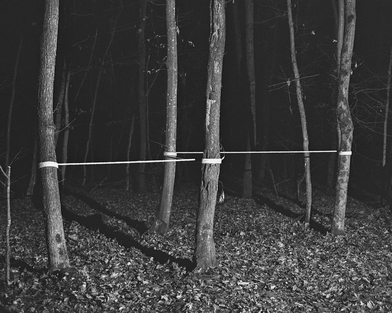 © Josip Artuković - Image from the Tea Soaked Madeleines photography project