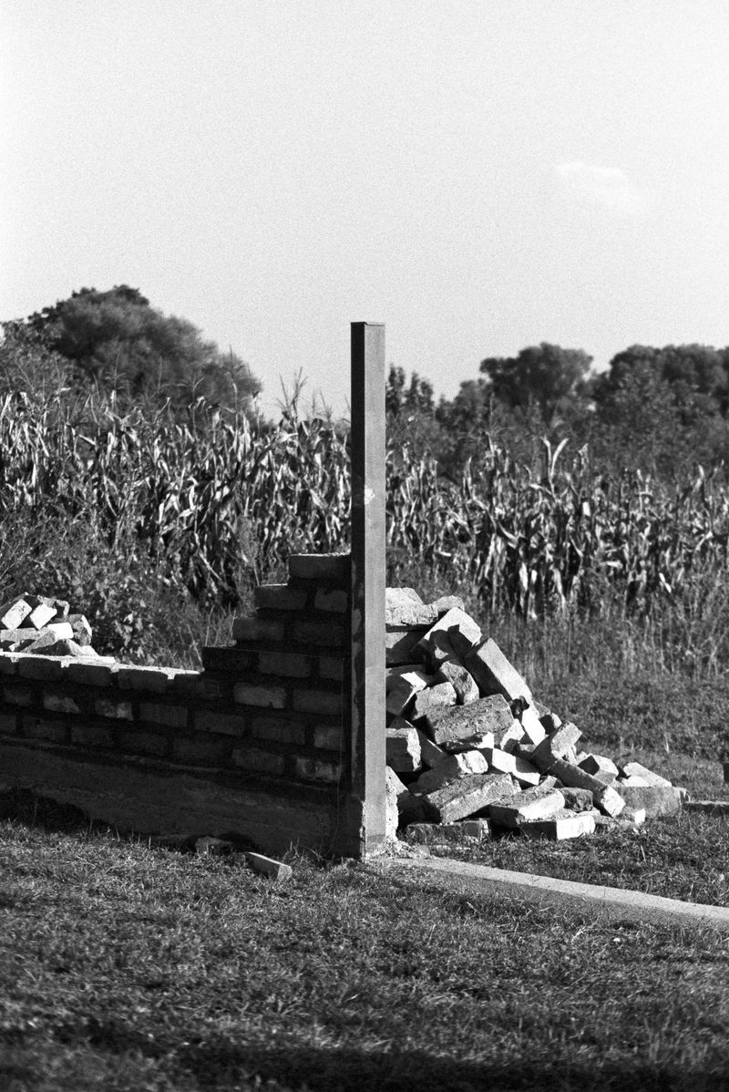 © Josip Artuković - Image from the Tea Soaked Madeleines photography project