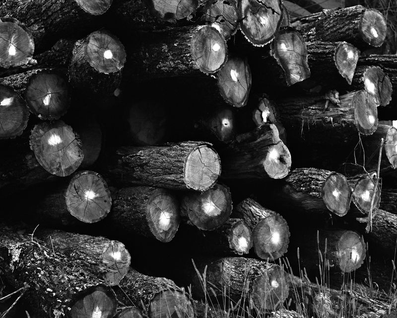 © Josip Artuković - Image from the Tea Soaked Madeleines photography project