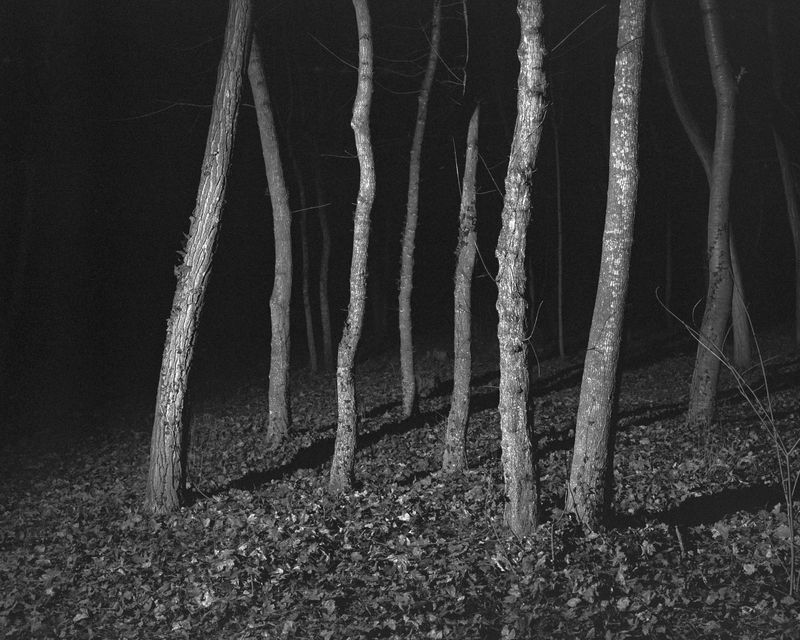 © Josip Artuković - Image from the Tea Soaked Madeleines photography project