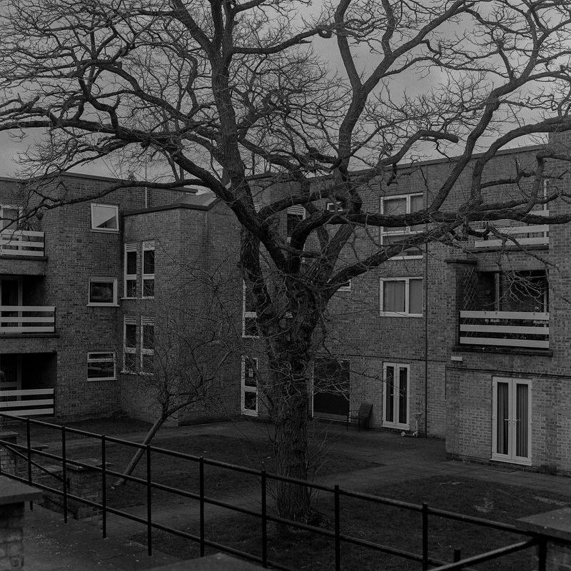 © Kate Schultze - Image from the the ripper would like you to ignore this. photography project