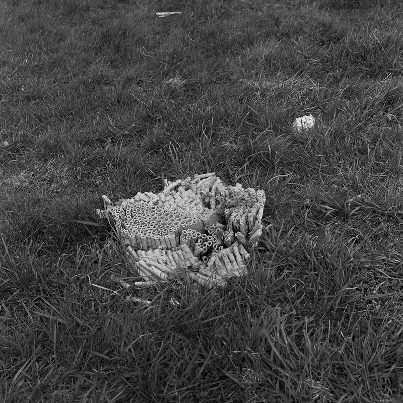 © Kate Schultze - Image from the now that we're here, we may as well go too far. photography project