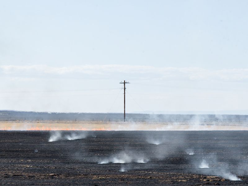 © Andrea Orejarena - Orejarena & Stein. Controlled Burn. 2021.