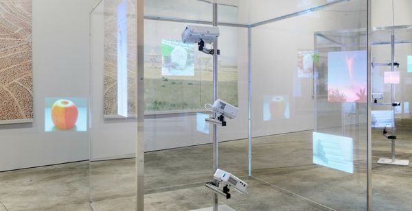 © Andrea Orejarena - Image from the American Glitch photography project