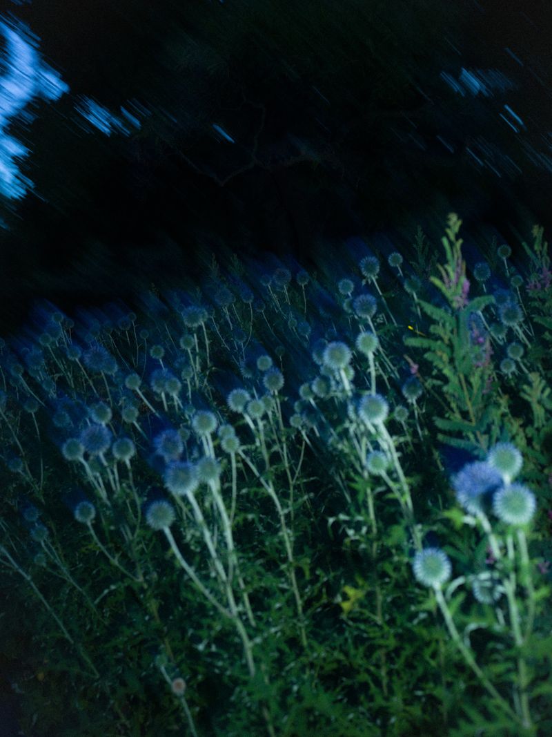 © Andrea Orejarena - Image from the I Love You Like the Moon photography project