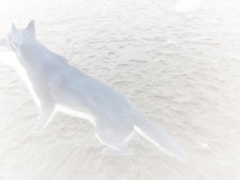 © Andrea Orejarena - Image from the I Love You Like the Moon photography project