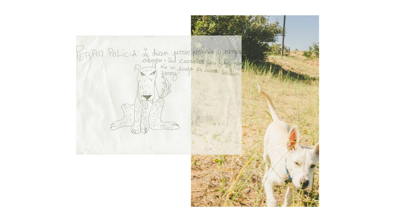 © Palma Bayoneta - Image from the Let Me Hold You One Last Time photography project