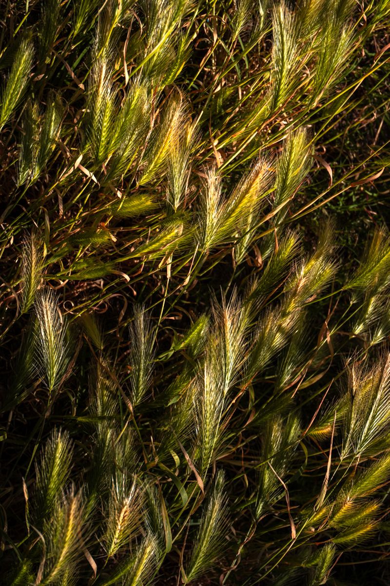 © Palma Bayoneta - Image from the Not a Single Rain Cloud in Sight photography project