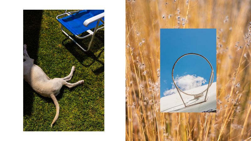 © Palma Bayoneta - Image from the Not a Single Rain Cloud in Sight photography project