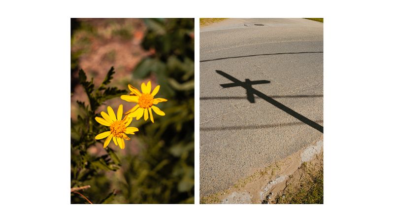 © Palma Bayoneta - Image from the Not a Single Rain Cloud in Sight photography project