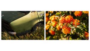 Not a Single Rain Cloud in Sight