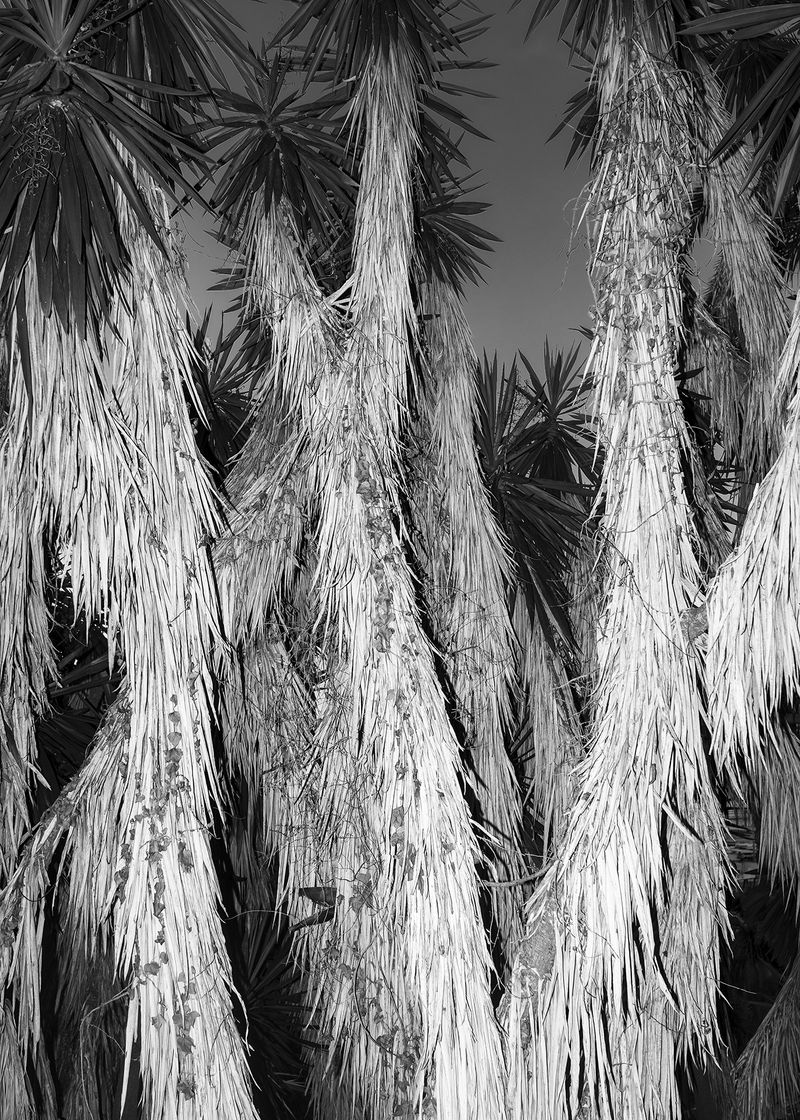 © Inti Javiera Gajardo Gonzalez - Image from the Dilación photography project