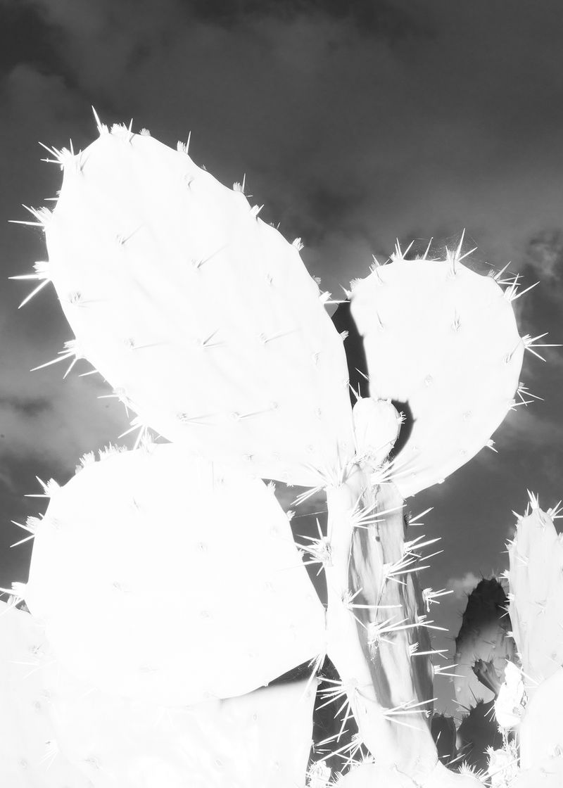 © Inti Javiera Gajardo Gonzalez - Image from the Dilación photography project