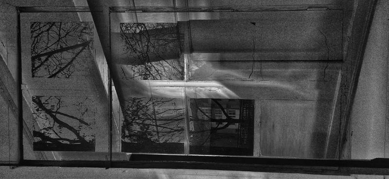 © Michael Hagen - Reflections