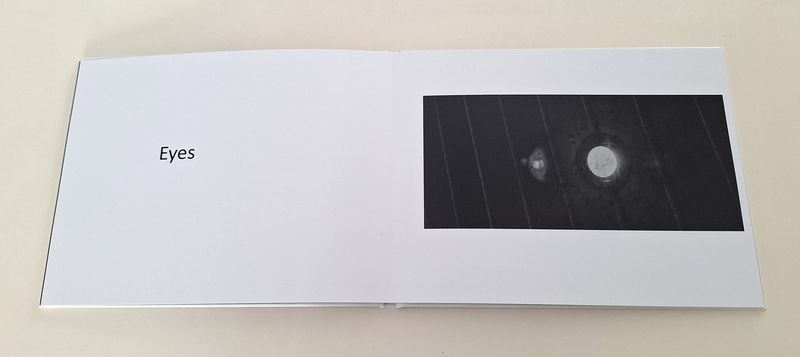 © Michael Hagen - Sample Page from the Art Book