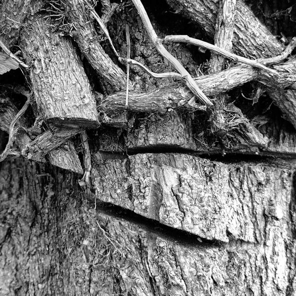 © Michael Hagen - Dynamics