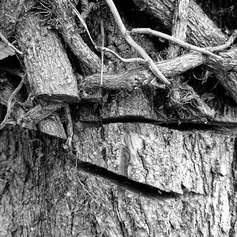 © Michael Hagen - Dynamics