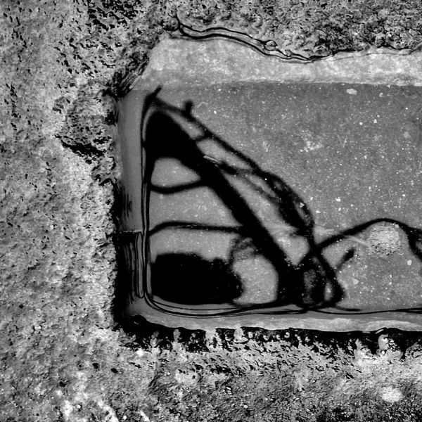 © Michael Hagen - Reflection