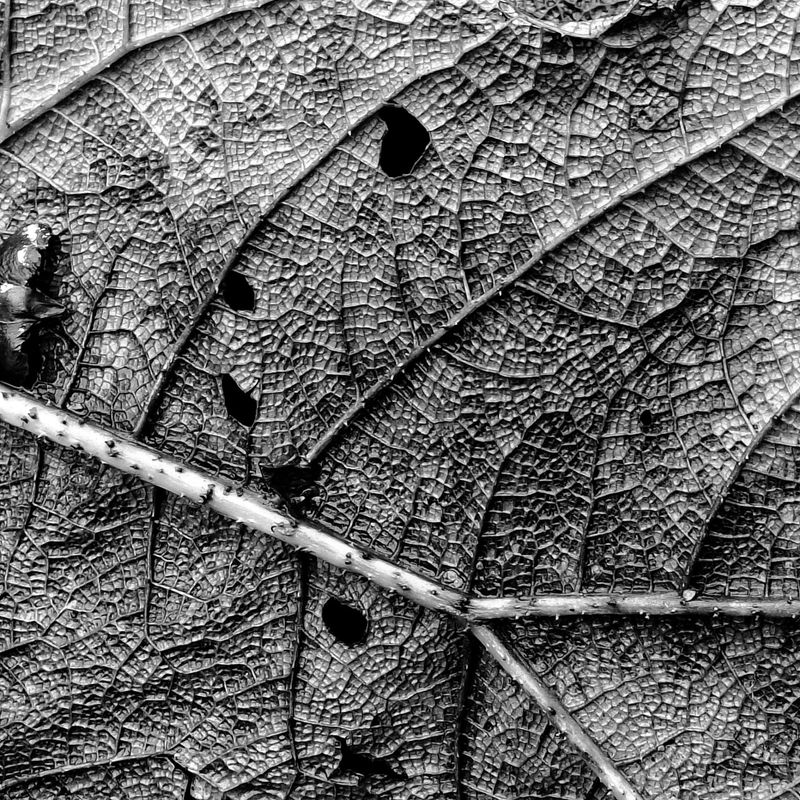 © Michael Hagen - Complexity