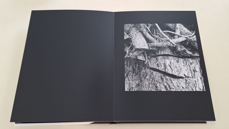 © Michael Hagen - Sample Page from the Art Book