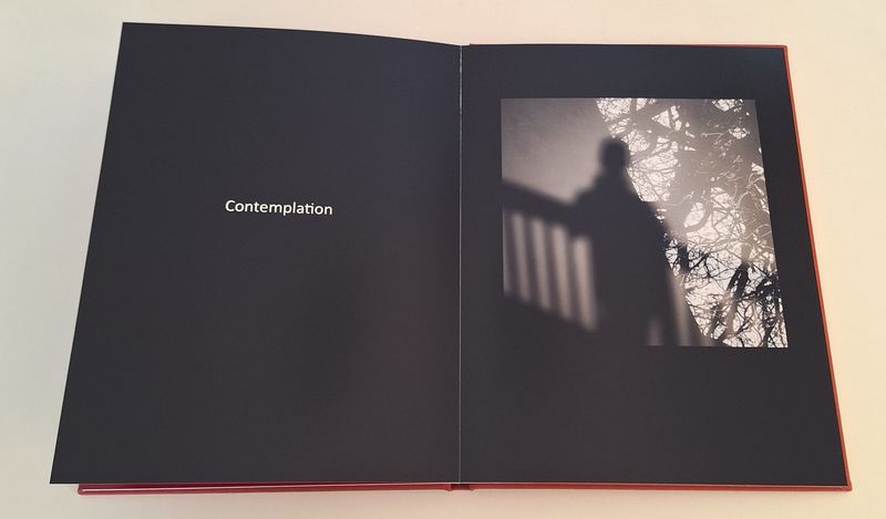 © Michael Hagen - Image from the Poiesis (Part II of the Pentalogy "Tempus Fugit Poiesis: Lights being realized") photography project