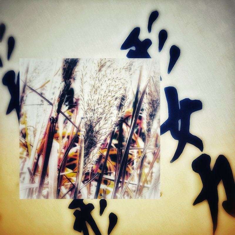 © Michael Hagen - (Phýsis) – Der Ursprung