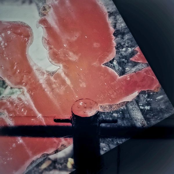 © Michael Hagen - Image from the Poiesis (Part II of the Pentalogy "Tempus Fugit Poiesis: Lights being realized") photography project