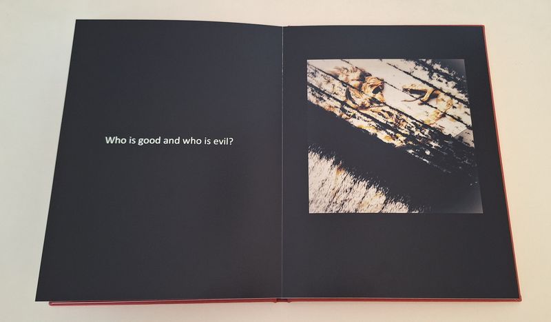 © Michael Hagen - Image from the Poiesis (Part II of the Pentalogy "Tempus Fugit Poiesis: Lights being realized") photography project