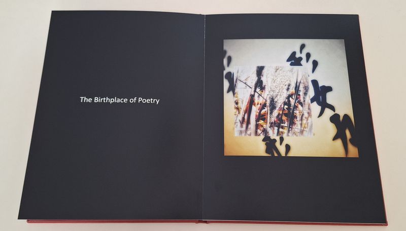 © Michael Hagen - Image from the Poiesis (Part II of the Pentalogy "Tempus Fugit Poiesis: Lights being realized") photography project