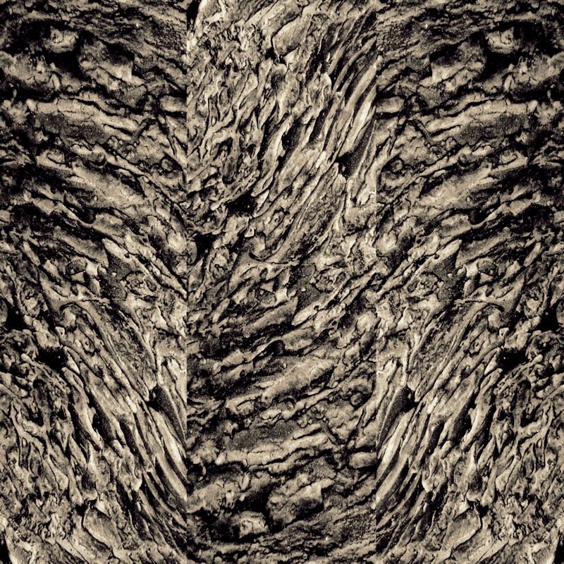 © Michael Hagen - Time Waves