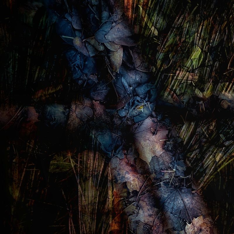 © Michael Hagen - R IV