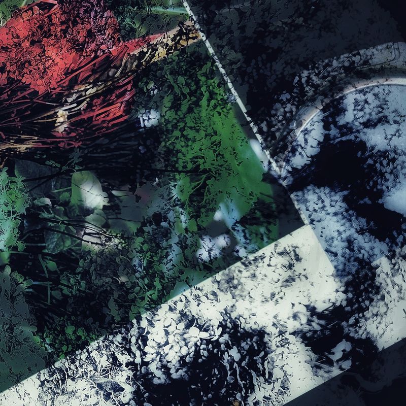 © Michael Hagen - R VI