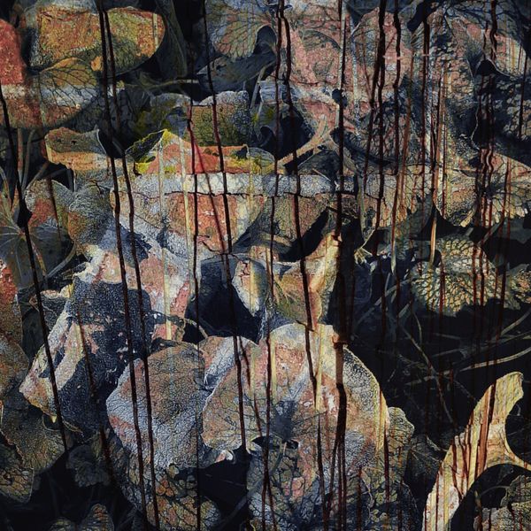 © Michael Hagen - R III