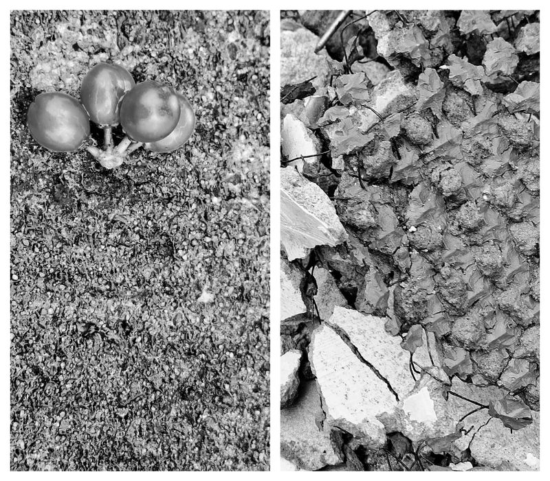 © Michael Hagen - Image from the Left Behind photography project