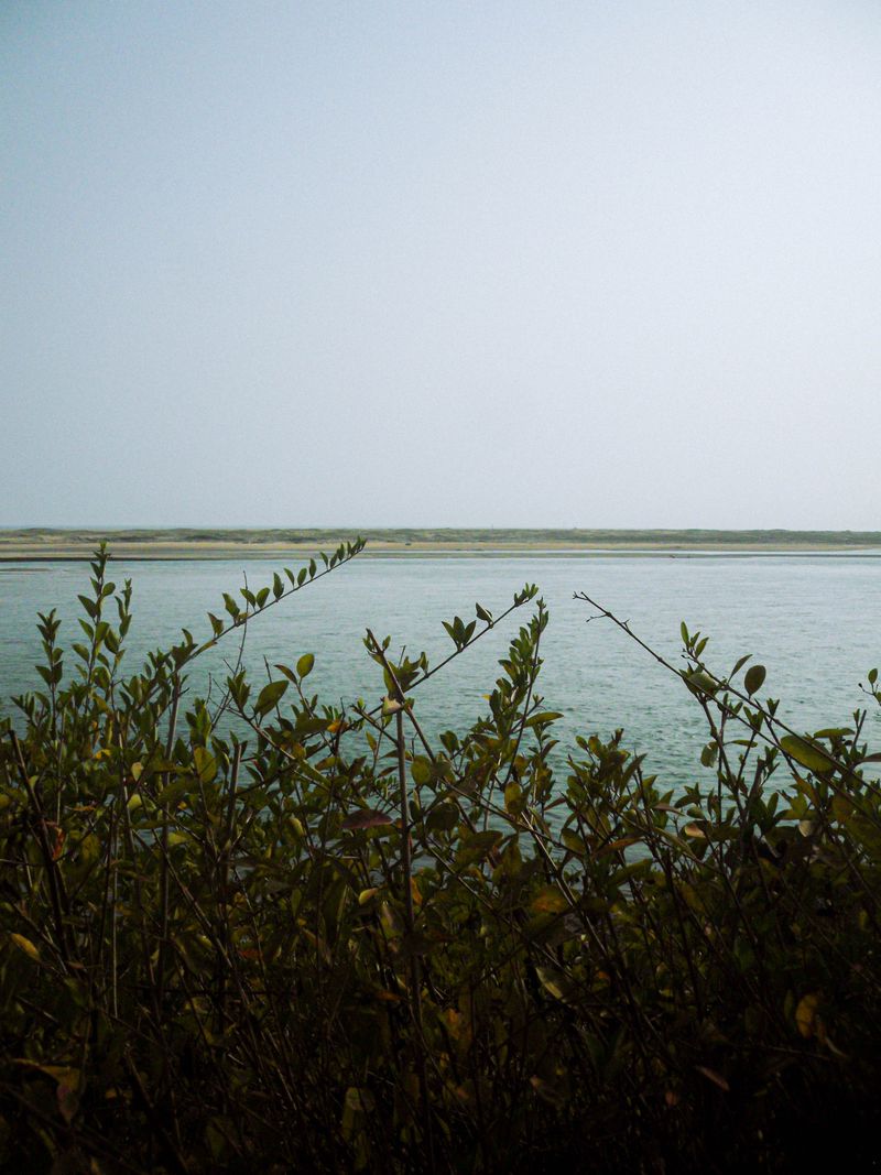 © Vanshika - Image from the Ekamra: A Journey Through Faith, Craft, and Calm in Odisha, India photography project