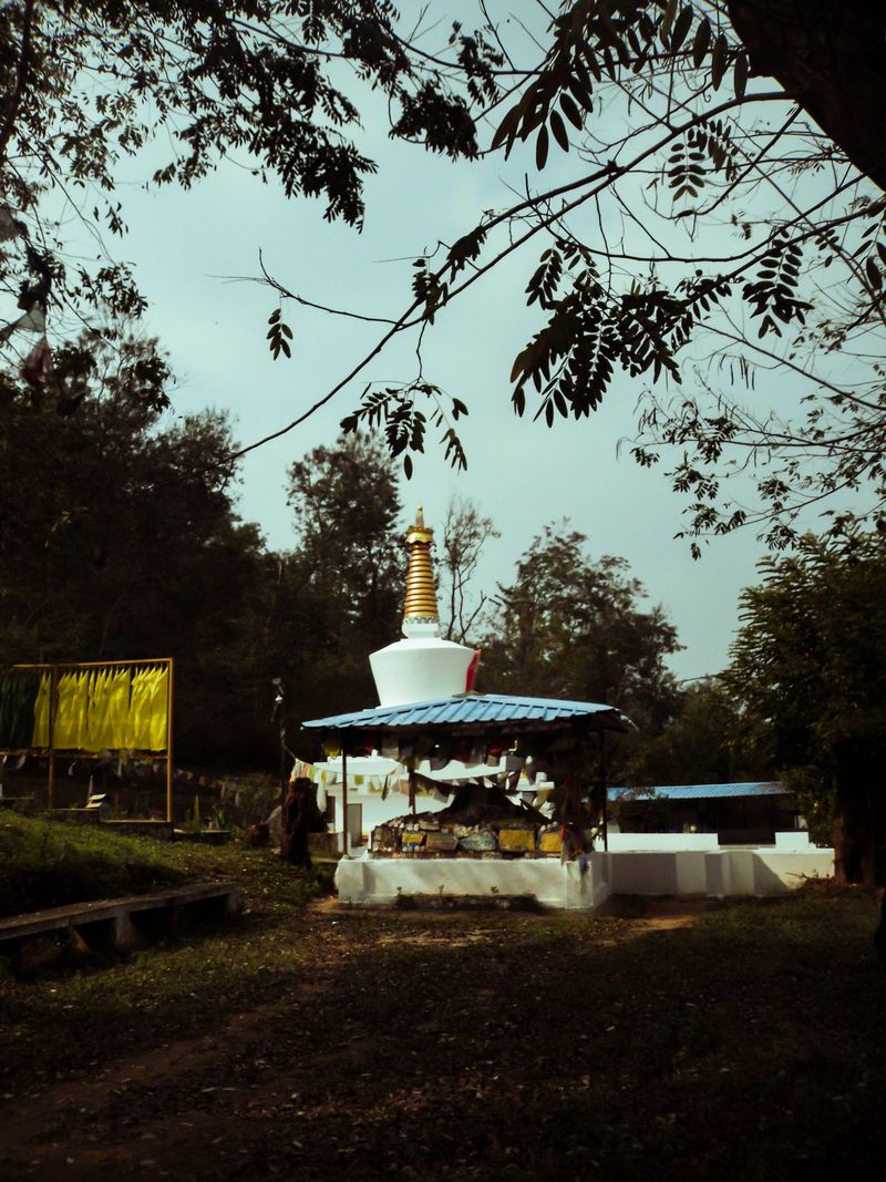 © Vanshika - Image from the Ekamra: A Journey Through Faith, Craft, and Calm in Odisha, India photography project