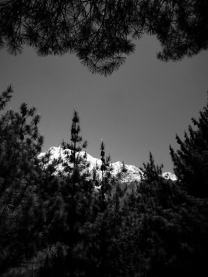 Where the Borders Blur: A Journey through Grief and Himalayas