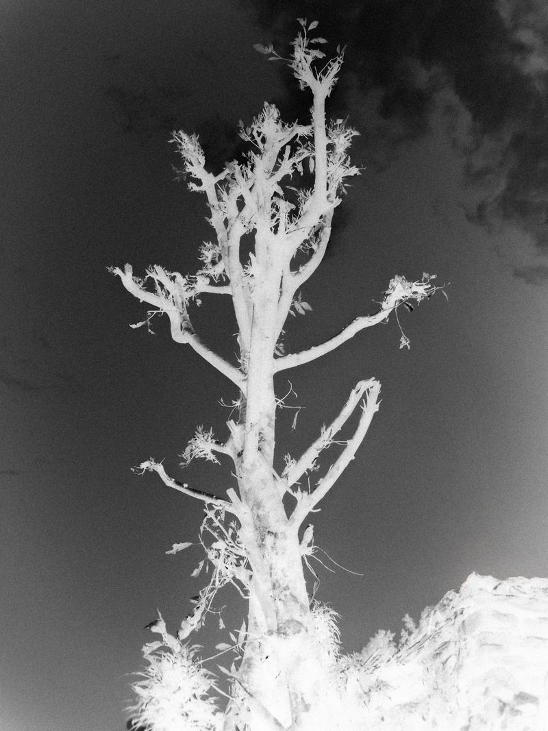 © Vanshika - Image from the Where the Borders Blur: A Journey through Grief and Himalayas photography project