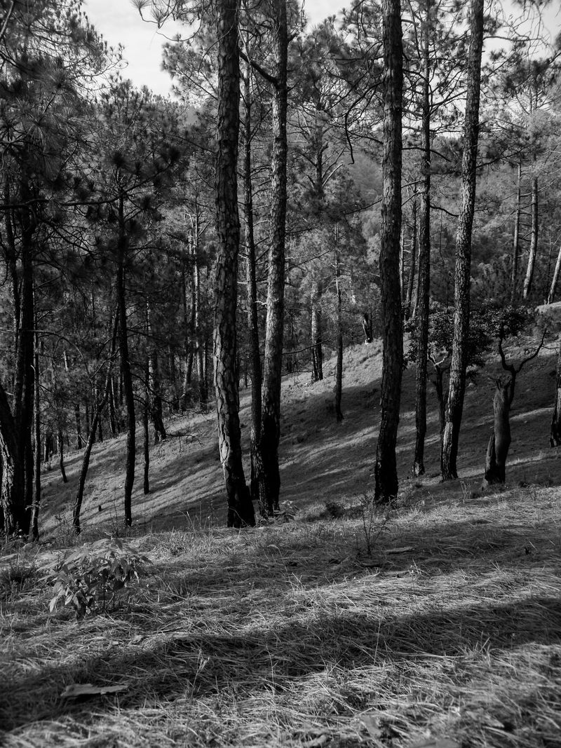 © Vanshika - Image from the Where the Borders Blur: A Journey through Grief and Himalayas photography project