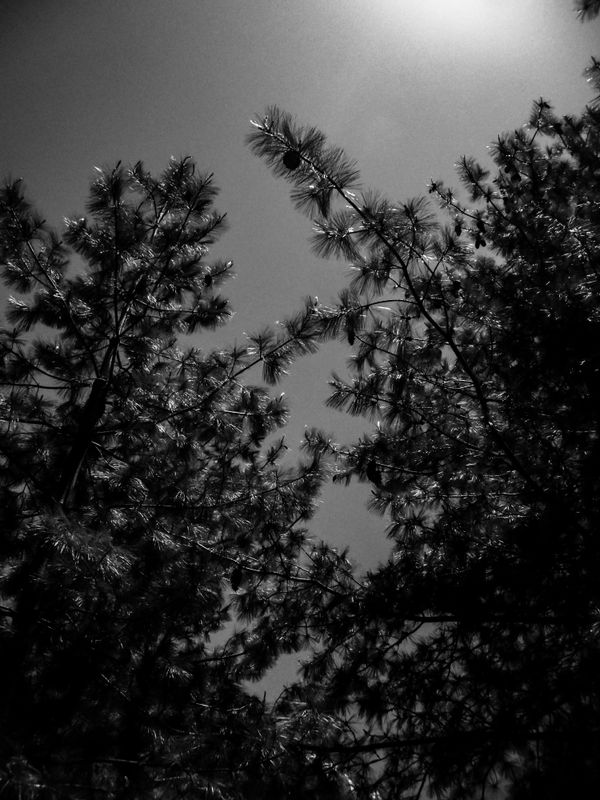 © Vanshika - Image from the Where the Borders Blur: A Journey through Grief and Himalayas photography project