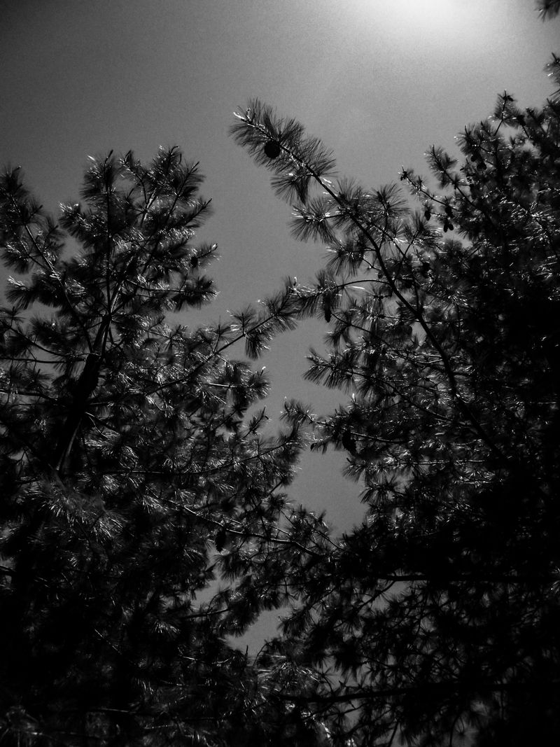 © Vanshika - Image from the Where the Borders Blur: A Journey through Grief and Himalayas photography project