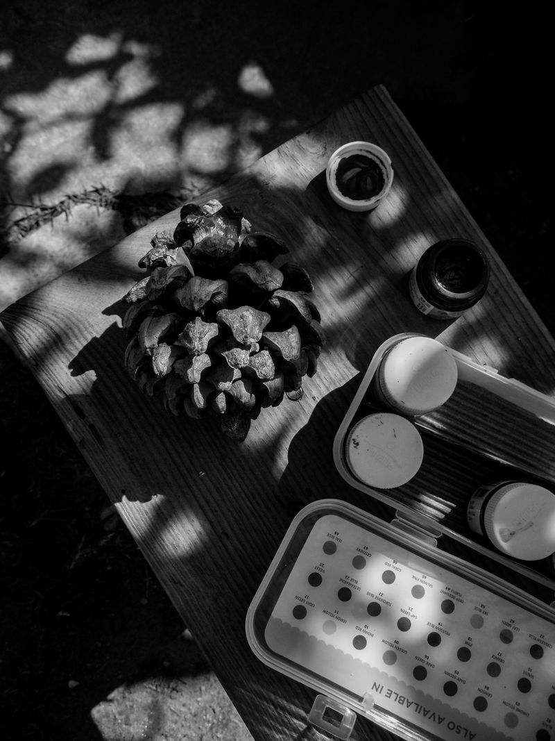 © Vanshika - Image from the Where the Borders Blur: A Journey through Grief and Himalayas photography project