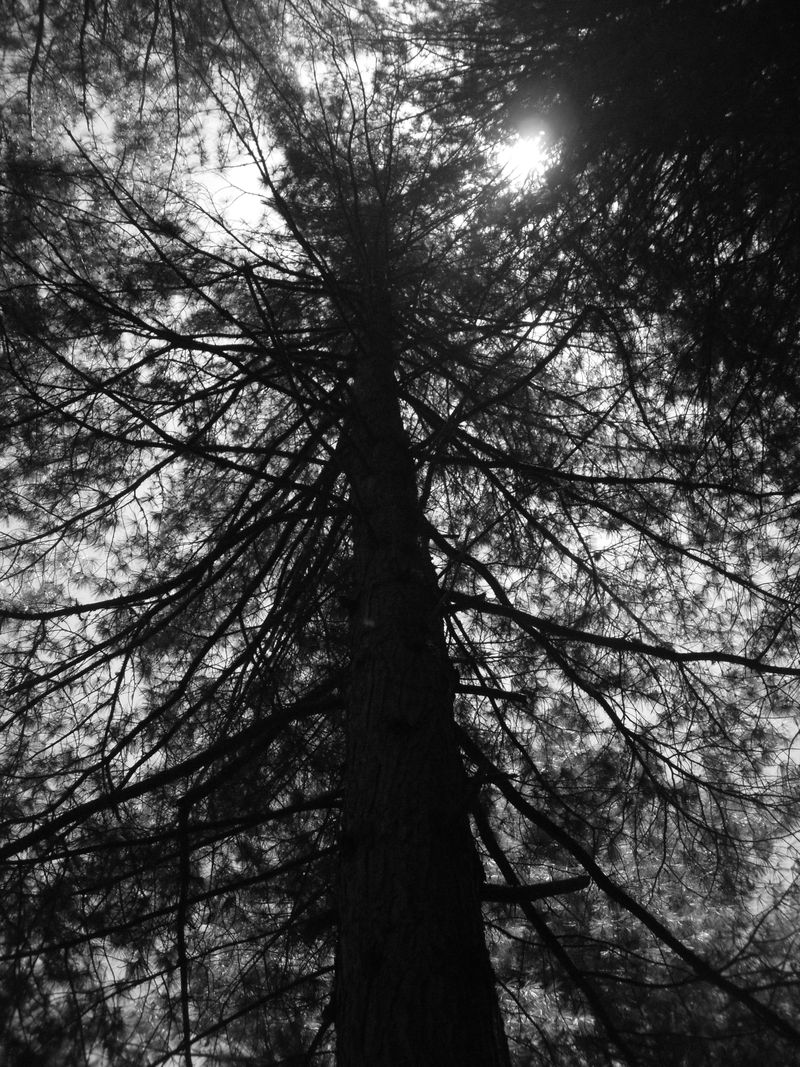 © Vanshika - Image from the Where the Borders Blur: A Journey through Grief and Himalayas photography project