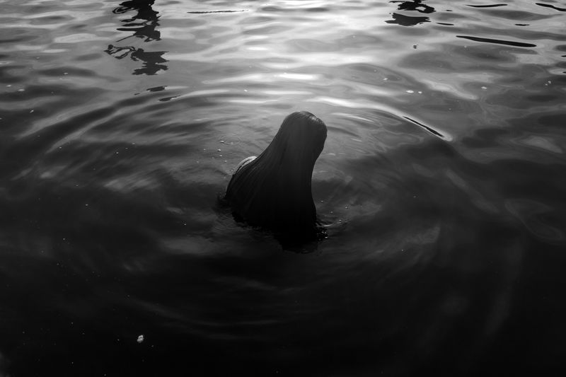 © Jorge Pach - Image from the The Dogs Bark Names You Don’t Understand photography project