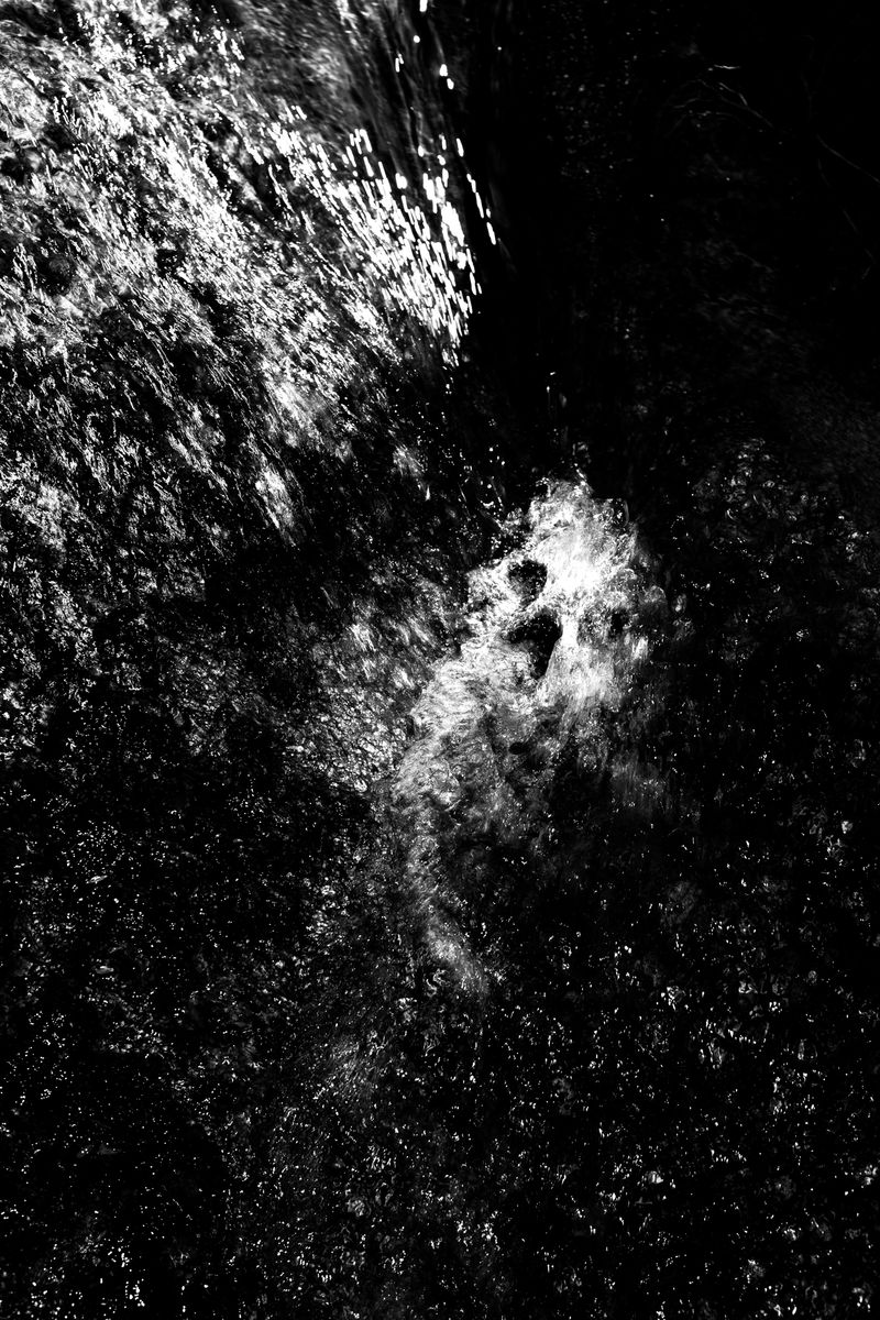 © Jorge Pach - Image from the The Dogs Bark Names You Don’t Understand photography project