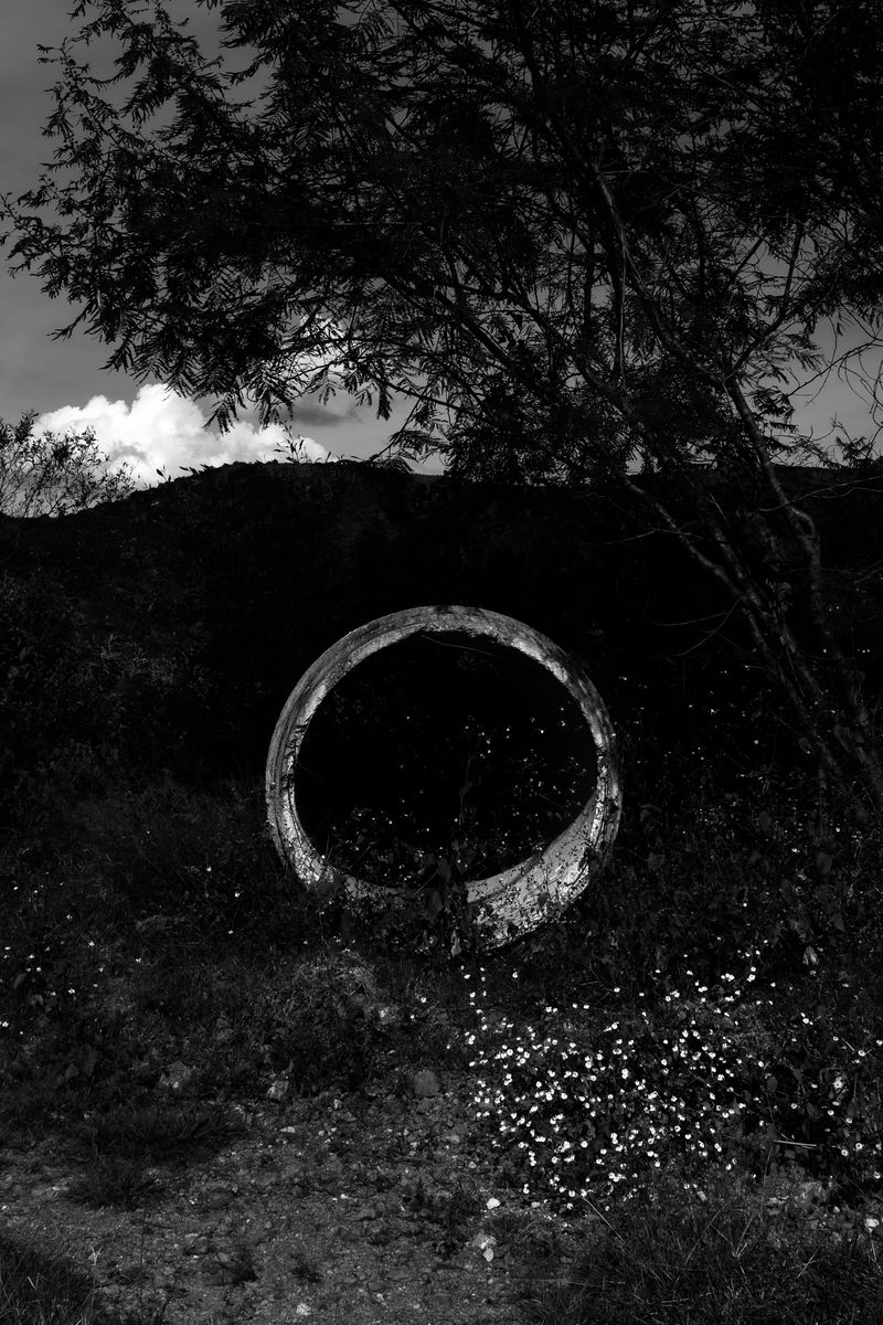 © Jorge Pach - Image from the The Dogs Bark Names You Don’t Understand photography project